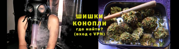 шишки Елабуга