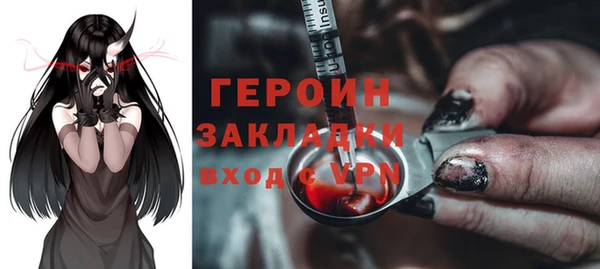 PSILOCYBIN Ельня
