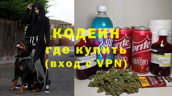 шишки Елабуга