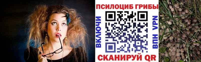 Галлюциногенные грибы мицелий  даркнет сайт  Старый Оскол 